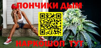 индика Обь