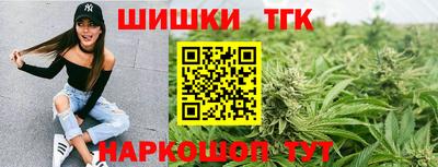индика Обь