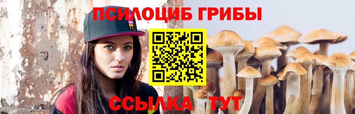 Псилоцибиновые грибы мицелий  Псилоцибиновые грибы прущие грибы  Вход с VPN  Унеча 